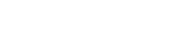 Floppy Spike TM Flying Disc Logo White